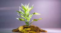How to grow wealth in your 30s
