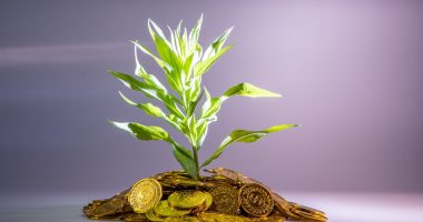 How to grow wealth in your 30s