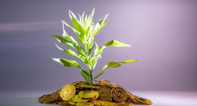 How to grow wealth in your 30s