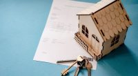 Fractional ownership of alternative assets - 7Days Blogs