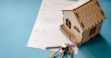 Fractional ownership of alternative assets - 7Days Blogs